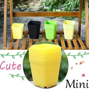 20pcs Mini Basin Square Pot Bunga Succulent Tanaman Nampan DIY Warna-warni Pot Bunga Pekebun Tumbuh Pot Rumah Kantor Dekorasi Taman 10 pot succulents penjualan terbaik - №