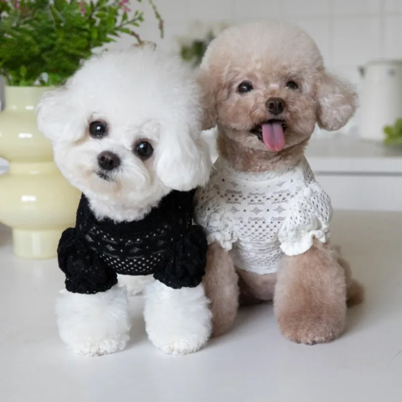 Dog Clothes Lace Winter Lace Lining Pet Dog Clothing For Small Dog Teddy Clothing Designer Dog Clothes Puppy Clothing Dog Shirt