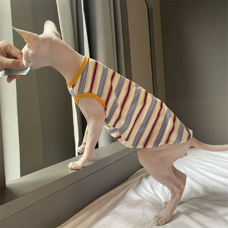 Chaleco sin mangas de algodón arcoíris para Sphynx y Devon Rex - imagen 2