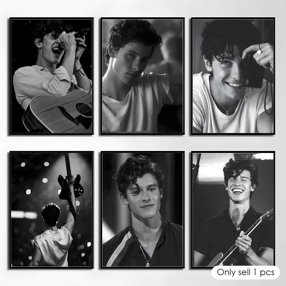 Singer S-Shawn Mendes Poster Elegant And Affordable Wall Art Stickers For Dormitory Living Room And Bedroom Spaces