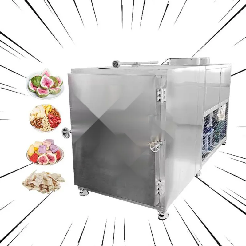 Рисунок 4 - Промышленная сублимационная сушилка для фруктов