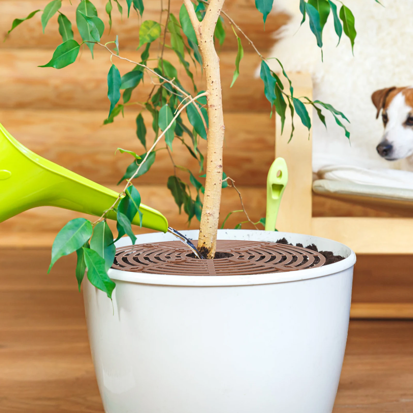 Grade de vaso de plantas, durável, à prova d'água, vaso de flores, cobertura de solo, rolha protetora de solo para gatos e cães