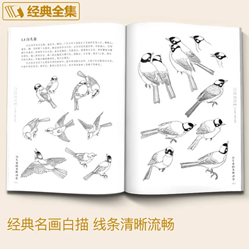 Estuche de dibujo blanco 5000, libro de texto de pintura de línea clásica, Libro de entrada de mostaza china, pájaros animales