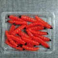 0004 20PCS 01