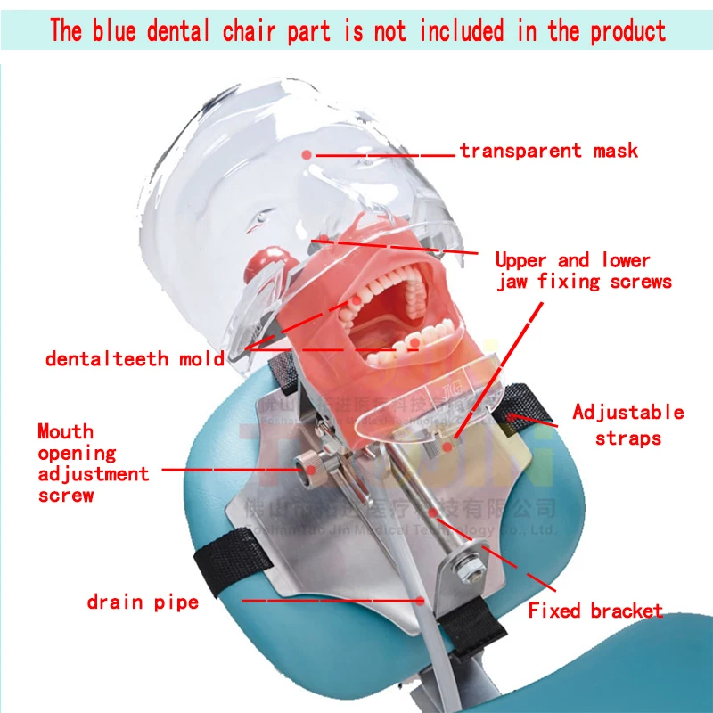 Dental Simulator Phantom Head Replace Teeth Model Can Installed On The Pillow Of The Dental Chair For Dentist Teaching Practice