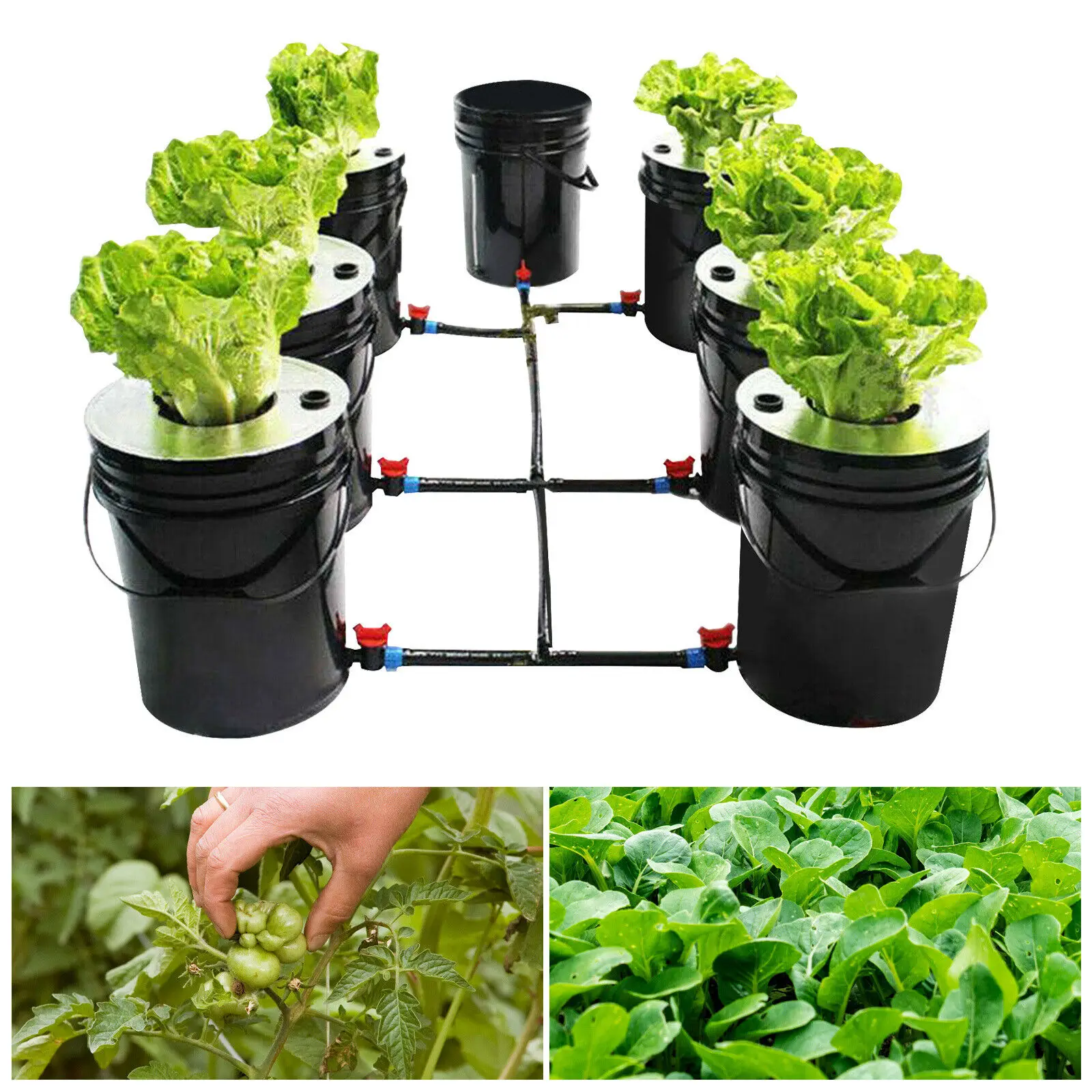 7 Pots 5 Gallon Deep Water Culture (DWC) Hydroponic Soilless Cultivation Kit Recirculation System +Air Pump 20L