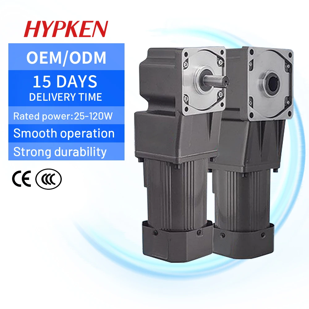 

Low-speed Micro AC Right Angle Electric Gear Motor 40W 60W