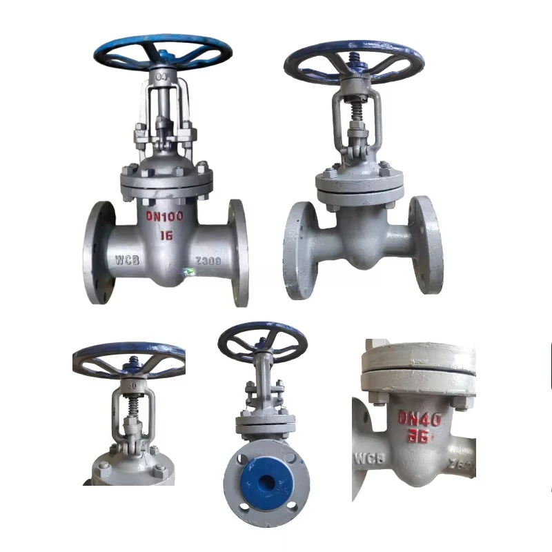 صمام بوابة شفة فولاذية مصبوبة DN40 ~ DN600 صمام بوابة فولاذي مصبوب شفة WCB