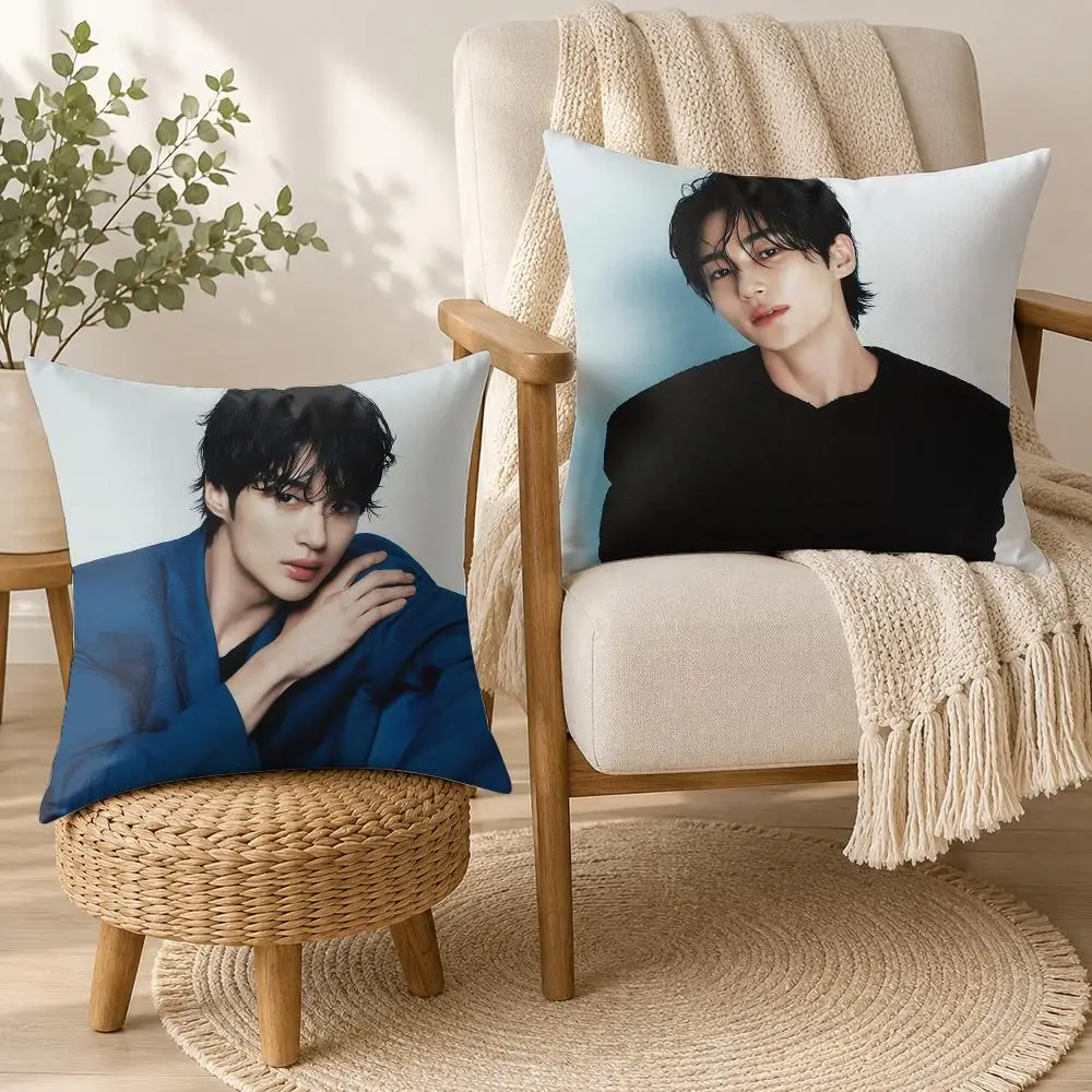 B-Byeon Woo-seok Idol Cushion Cover Square Decorative Throw Pillow 40x40cm For Sofa Bedroom Living Room Home Decor