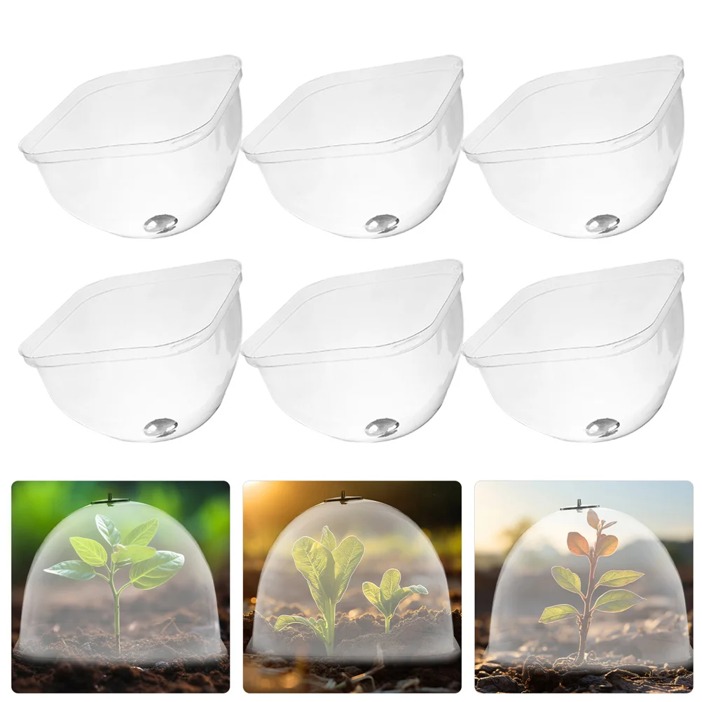 

6 Pcs Plastic Cloche Greenhouse Protection Plant Plant Pot Garden Plants Cloche Dome For Plants Dome Cover Cover
