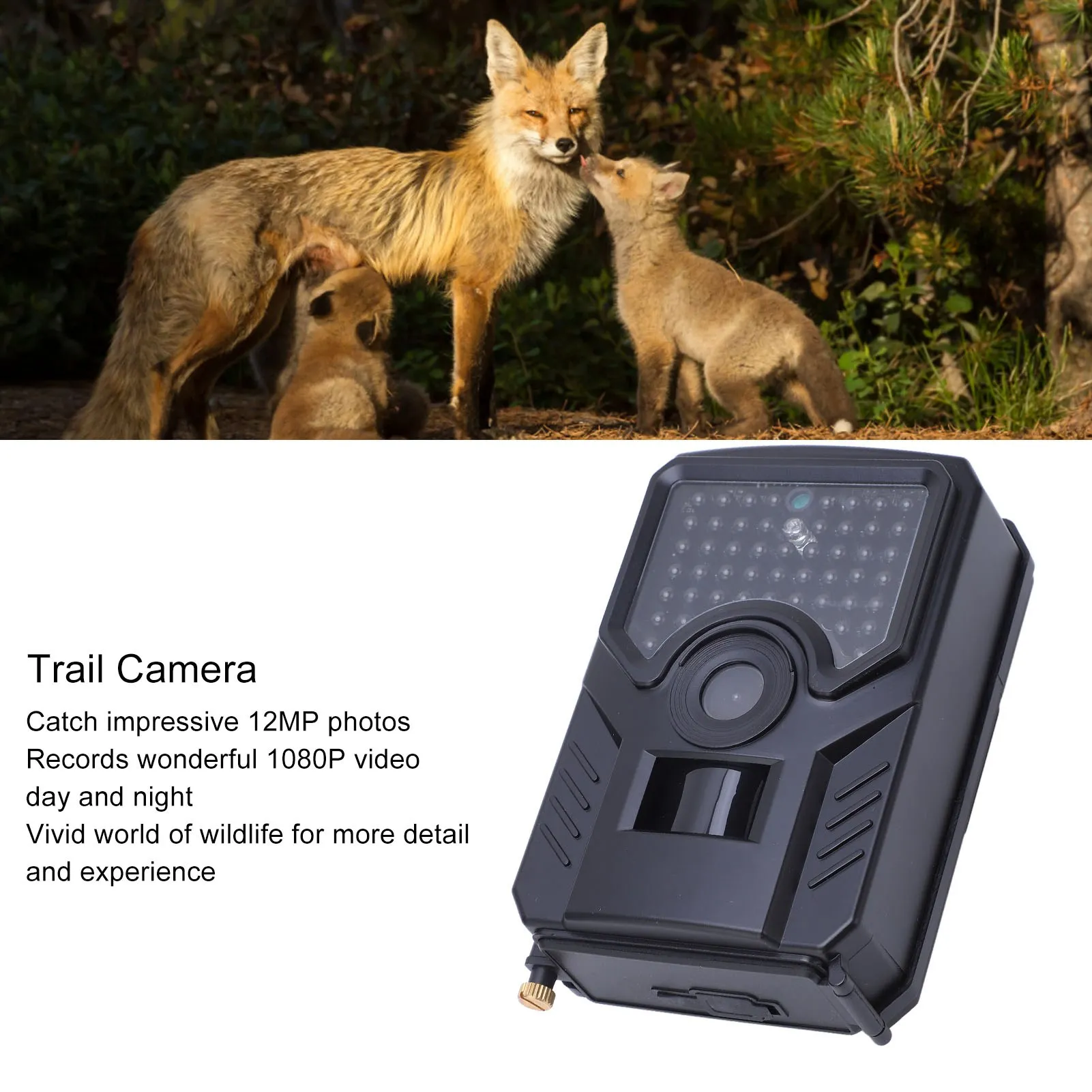 

Инфракрасная охотничья камера Trail Camera 12MP HD 1080P Инфракрасная охотничья IP56 Водонепроницаемая камера для наблюдения за дикой природой PR200B Trail Camera