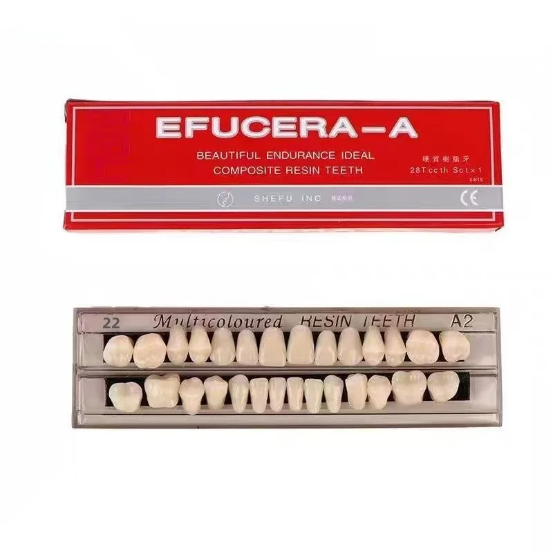 10Box Dental Education Model 28teeth Resin Denture Teeth Comparator Mirror Dentistry Bleaching Dental Plate Research