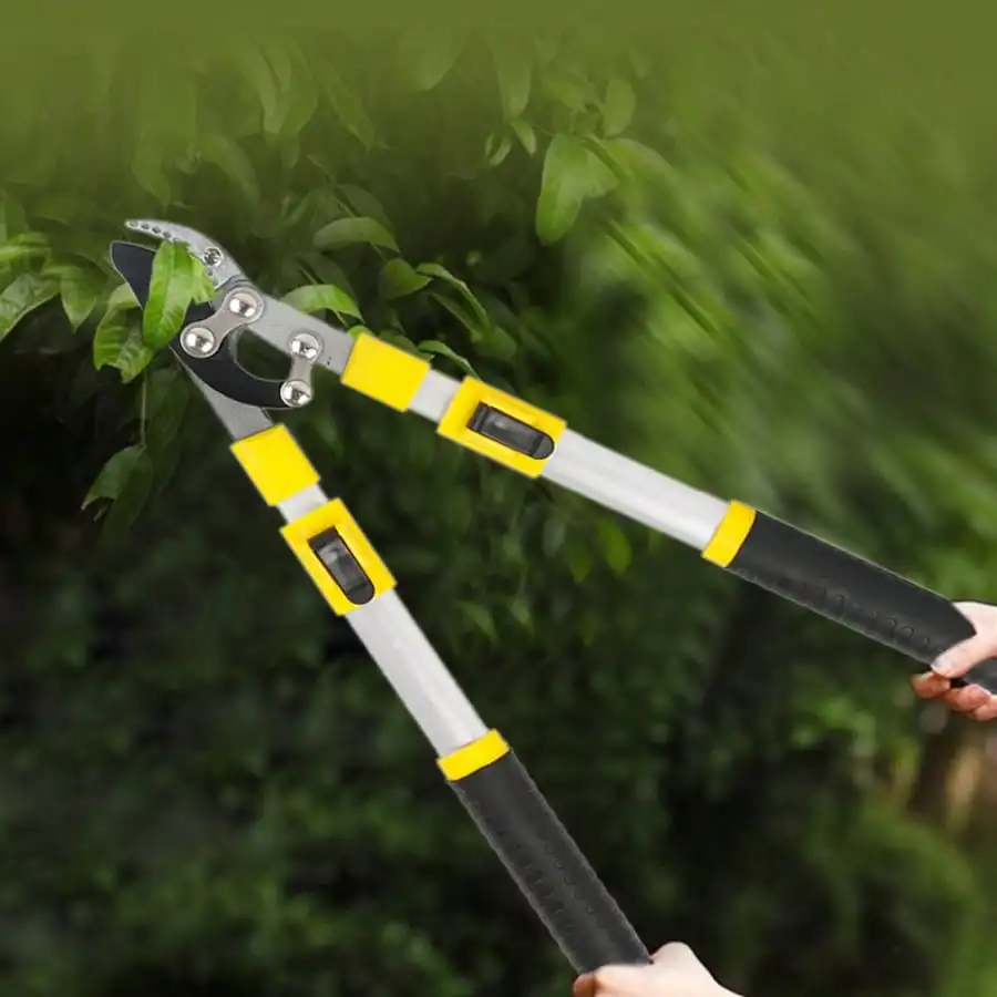 Ostern Sonderangebot SK5 Erweiterte Gartenschere, dehnbar für Obstbäume