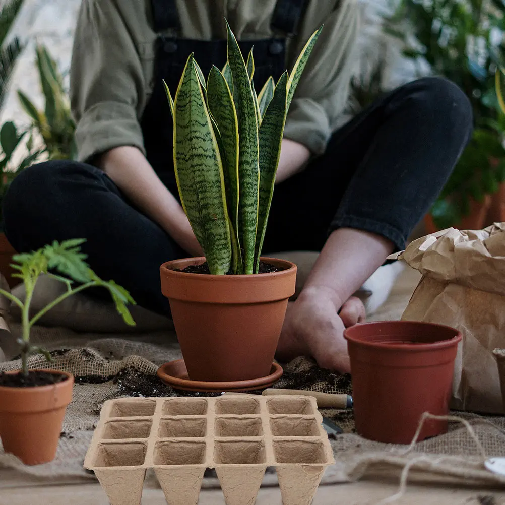 

Nursery Cup Set Plant Cups Germination Pots Succulent Plants Planting Containers Plastic Tray Tool