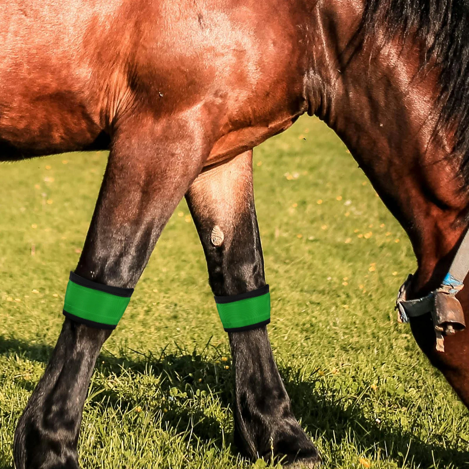 4 قطعة LED الحصان الساق الأشرطة ليلة السلامة عالية الوضوح العصابات العاكسة معدات ركوب الفروسية LED الحصان الساق الفرقة