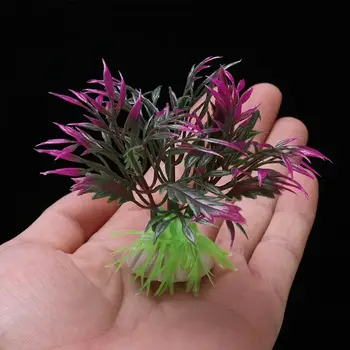 12 最佳銷售 水族箱種子 - №8