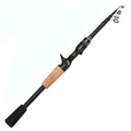 Casting Rod