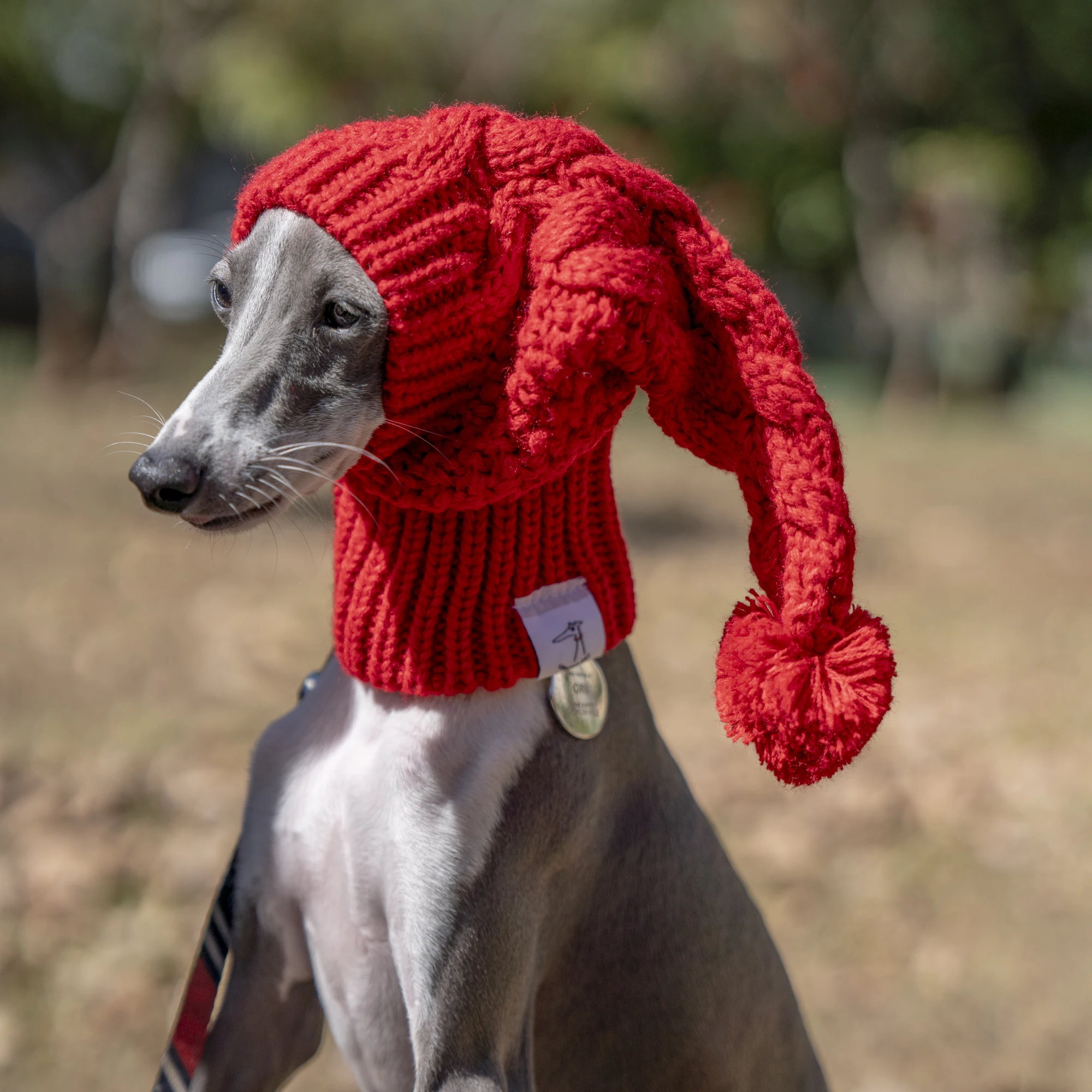 Whippet Winter Woolen Hat Red Pet Hat italian Greyhound Christmas Gift With Fur Ball Dog Hat