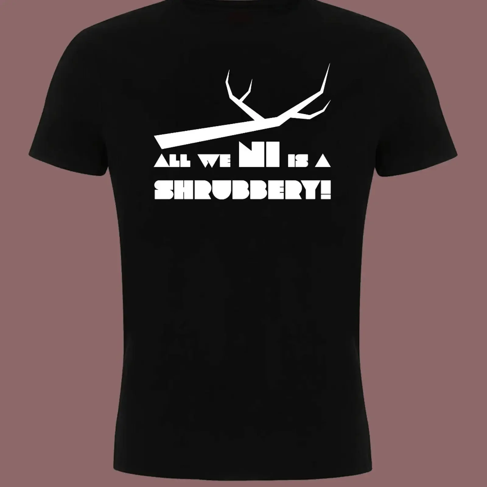 Camiseta vintage con estampado inspirado en Monty Python Ritter Kokosnuss de Brian Life, camiseta vintage lavada para hombre, top versátil para uso diario