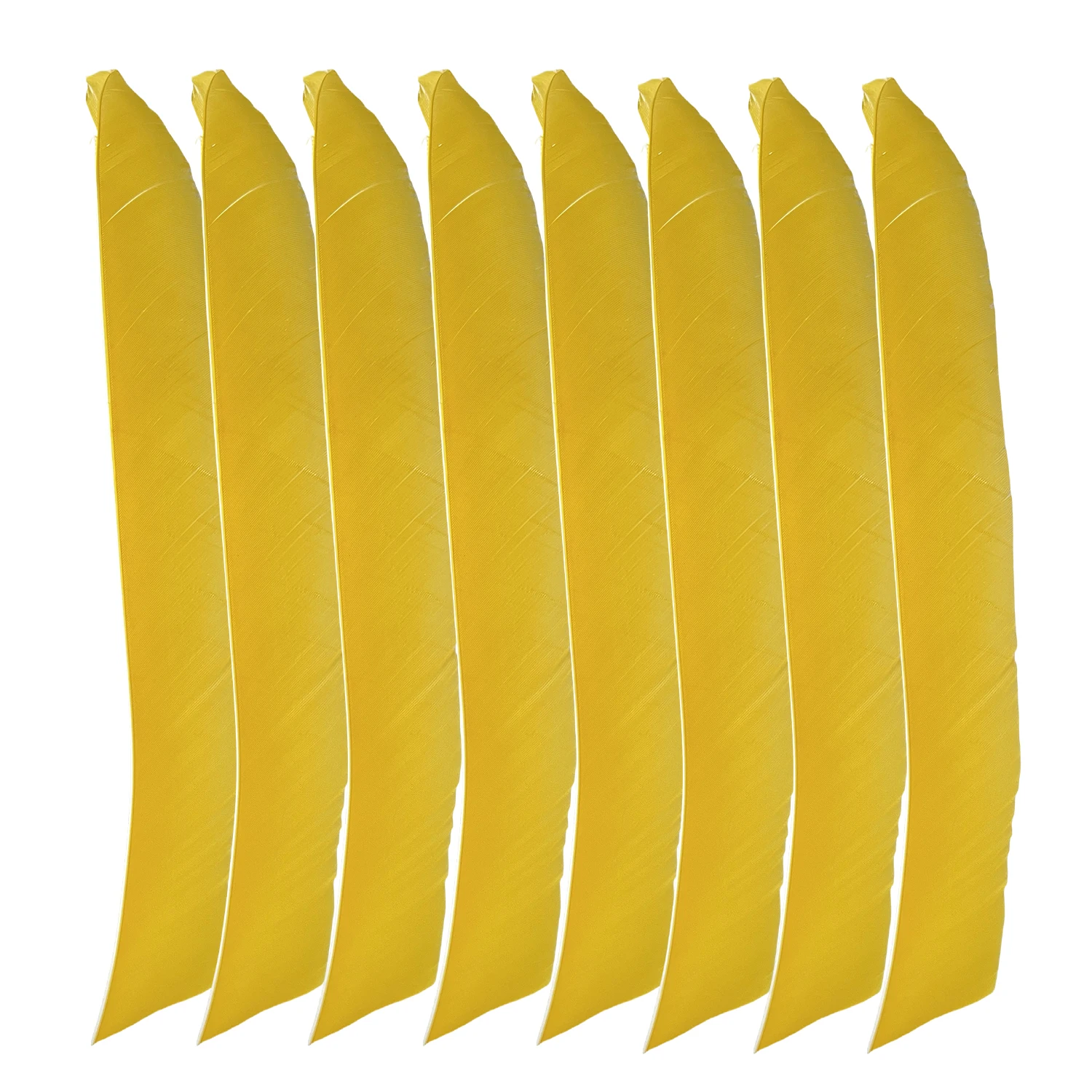50Pcs 9-10Inch Fletching Arrow Feathers Multicolor Full length Real Turkey Feather NO Cut