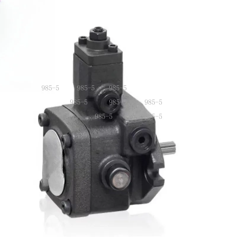 Industrial Hydraulic Variable Vane Pump，Equipped with Spline Shaft Design