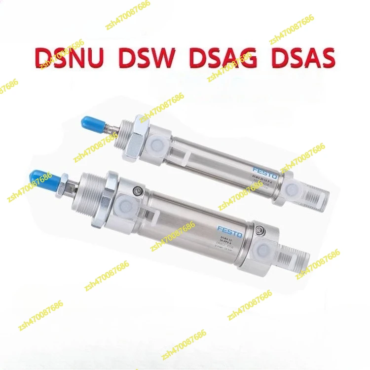 اسطوانة فيستوس DSNU-32-20-25-32-40-45-50-80-100-125-160-PPVA/-P-A DSNU DSNU-32 PPV A #1