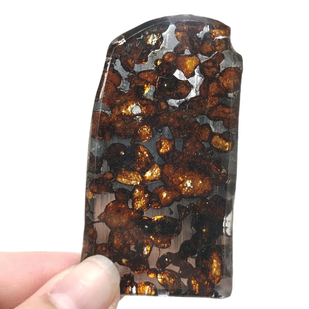 26.5g Sericho Pallastie meteorite slice Olivine Meteorite Natural Specimen Meteorite material Collection - from Kenya -QA460