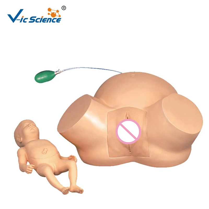 

Advanced PVC Medical Dystocia Training Simulator Model