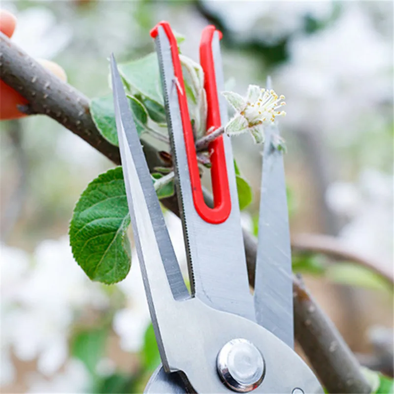 Double-edged Apple Picking Scissors Kiwi Pear Thinning Scissors Double Mouth Design Thin Fruit Picking Scissors Garden Hand Tool