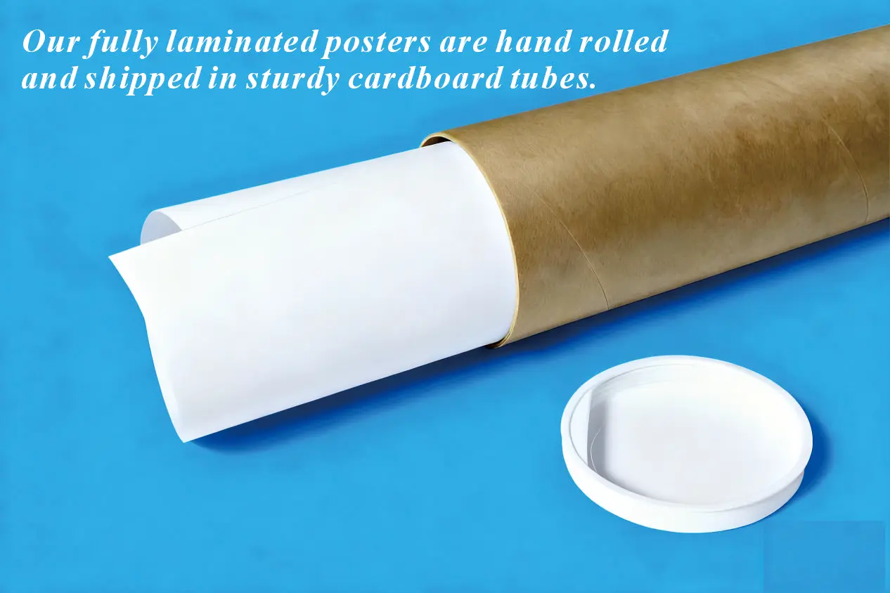 مخطط طبي، لوحة فنية جدارية للعناية بالكلى تحفيزية، 11 × 14 بوصة ورق صور أرشيف غير مؤطر، ملصق صحي وفن جدران #5