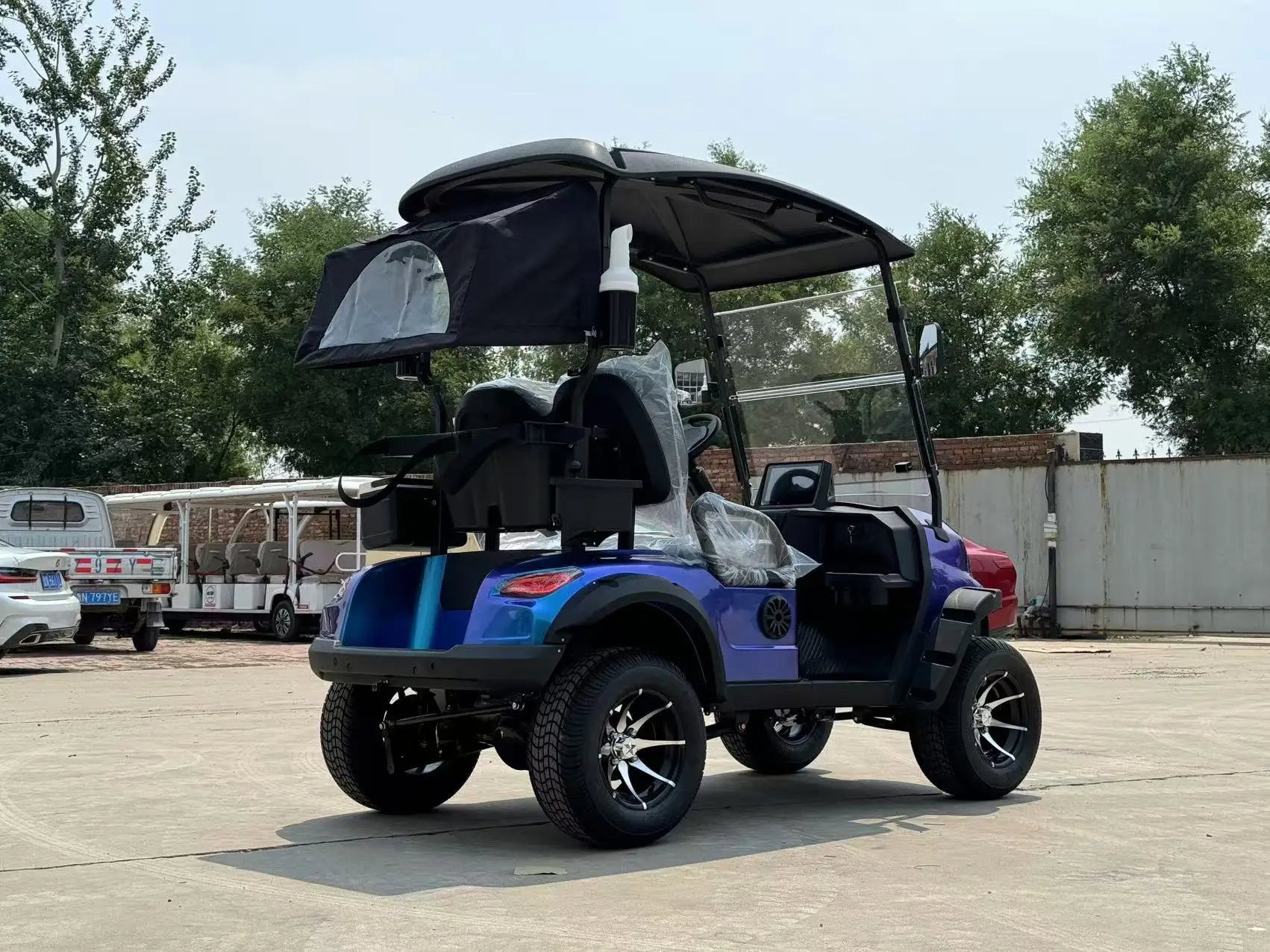 2/4/6/8 مقاعد معدنية الصلب البلاستيك الصيد عربة جولف الكهربائية على الطرق الوعرة عربات الغولف سيارة عربات التي تجرها الدواب جولف سكوتر #3