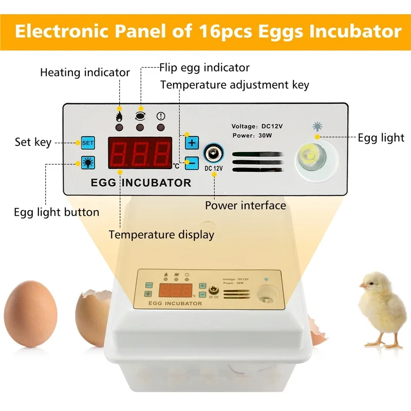 Eggs Incubator 16 Eggs Mini Automatic Turning Hatching Machine for Goose Quail Brooder Chicken Eggs Triocottage Incubator