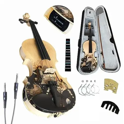 Electric/Acoustic Violin Set for Beginners with Hard Case Bow Extra Strings 4/4 Full-size in Black Special Designed Gift