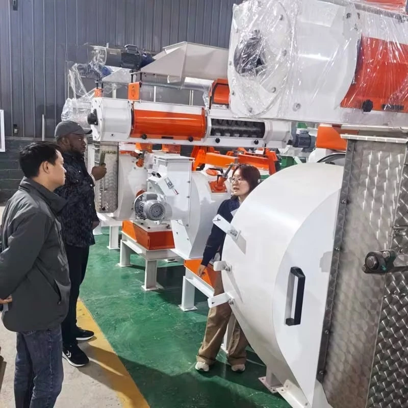 New CE ISO Stainless Steel Strongwin  Motor High 6-25t/h Capacity Large Model Ring Die Animal Feed Pelletizer Machine