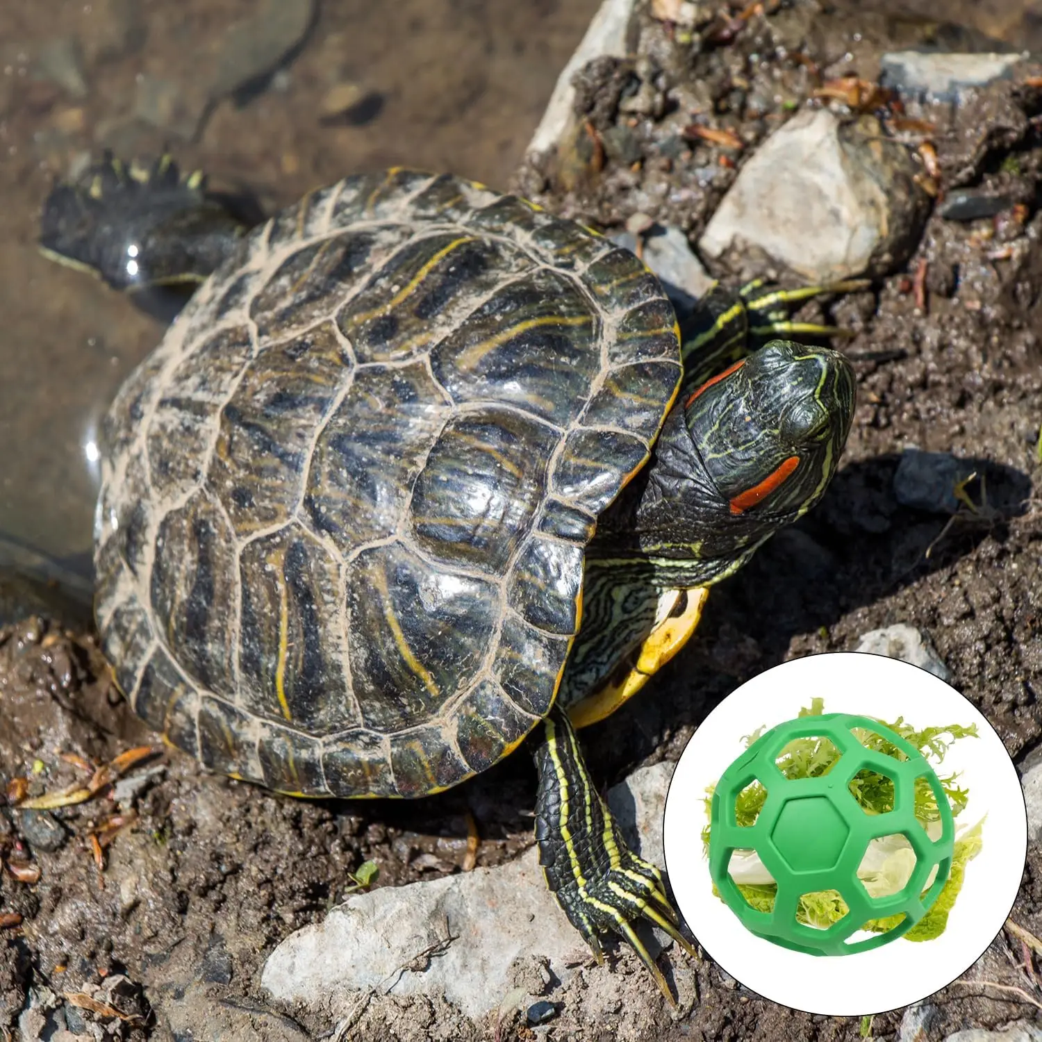 2 шт., подвесные бутылки для овощей