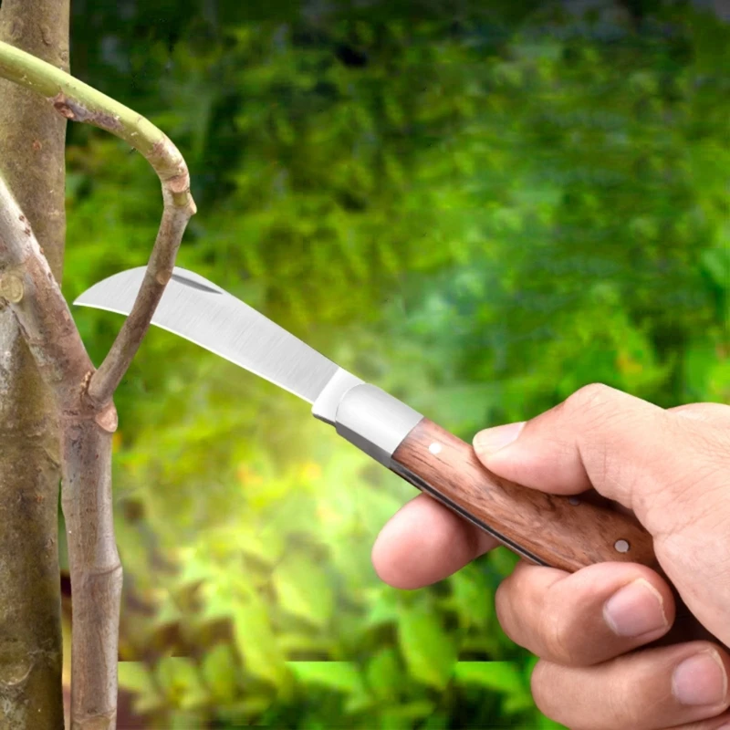 مجموعة صغيرة من سكاكين الفطر المصنوعة من الخشب مقبض للاستخدام الخارجي لأغراض الصيد والصيد متعددة الوظائف سكاكين حادة قابلة للطي سكاكين يدوية