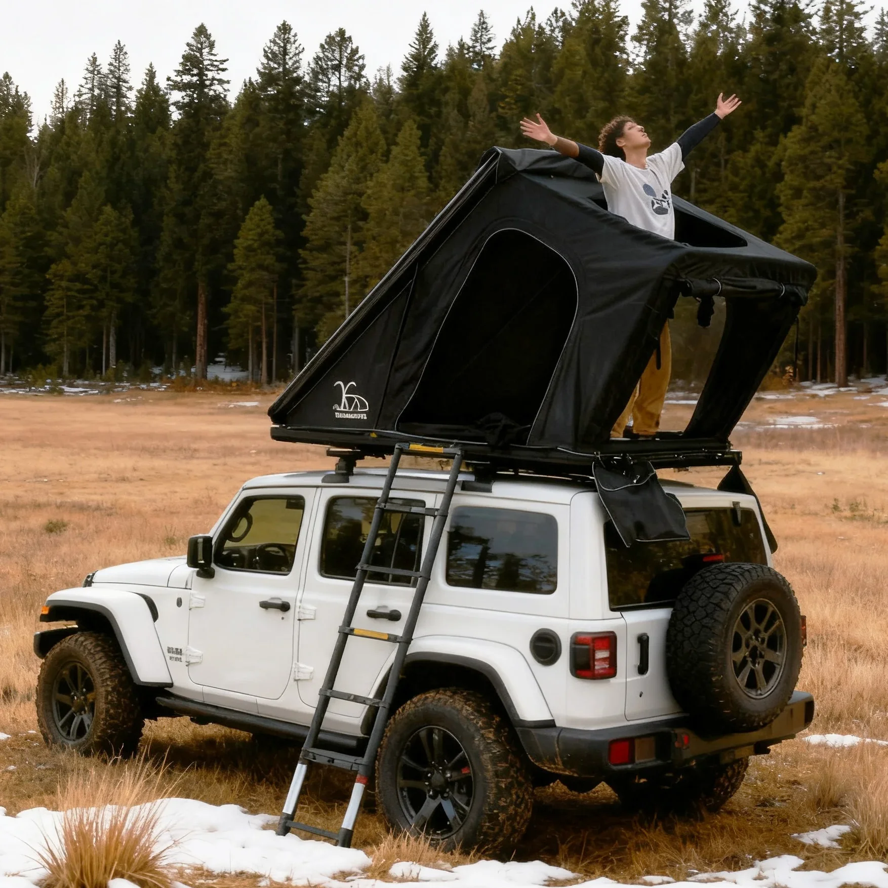 

Pop up Rooftop Tents Hard Shell for Camping Waterproof SUV RTT Jeep Overland Tent Roof Rack Triangle Aluminium Black