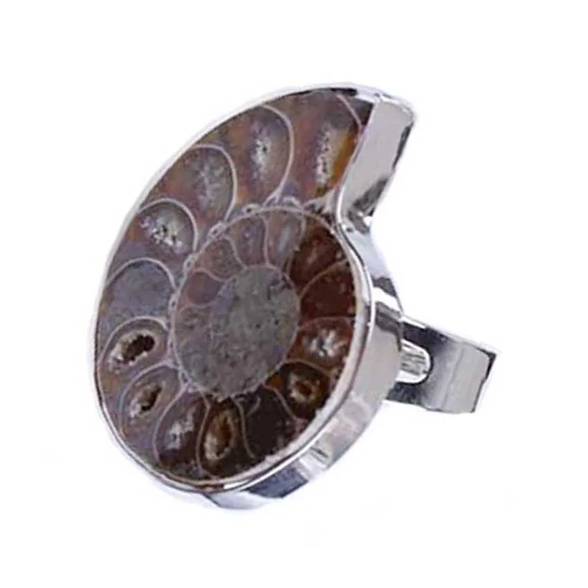 Silver Plated Natural Ammonite Reliquiae Resizable Stone Conch Spiral Ring For Women Men Girls Anniversary Jewelry Gifts