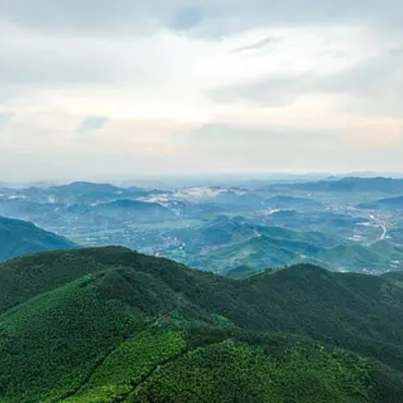 

GEPRC RAD Whoop 5.8G VTX 32CH PitMode 25mW 100mW 200mW 400mW Adjustable 25.5X25.5mm for FPV Freestyle Cinewhoop Ducted Drone