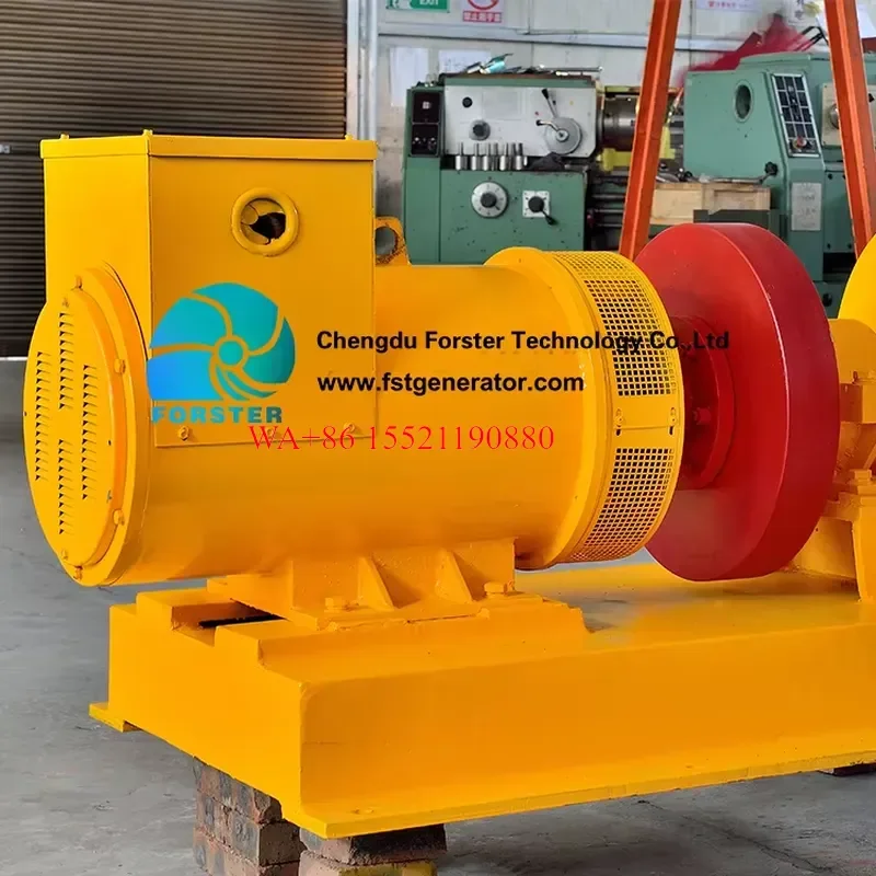 WMWMNU for Free Electricity Home Pelton Water Turbine 20KW Hydroelectric Generator with Stainless Steel Blades and 40V Output