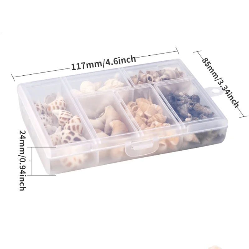 1Set Mixed Sea Shells Ocean Beach Spiral Seashells Craft Charms for Home Decorations Beach Theme Party Candle Making