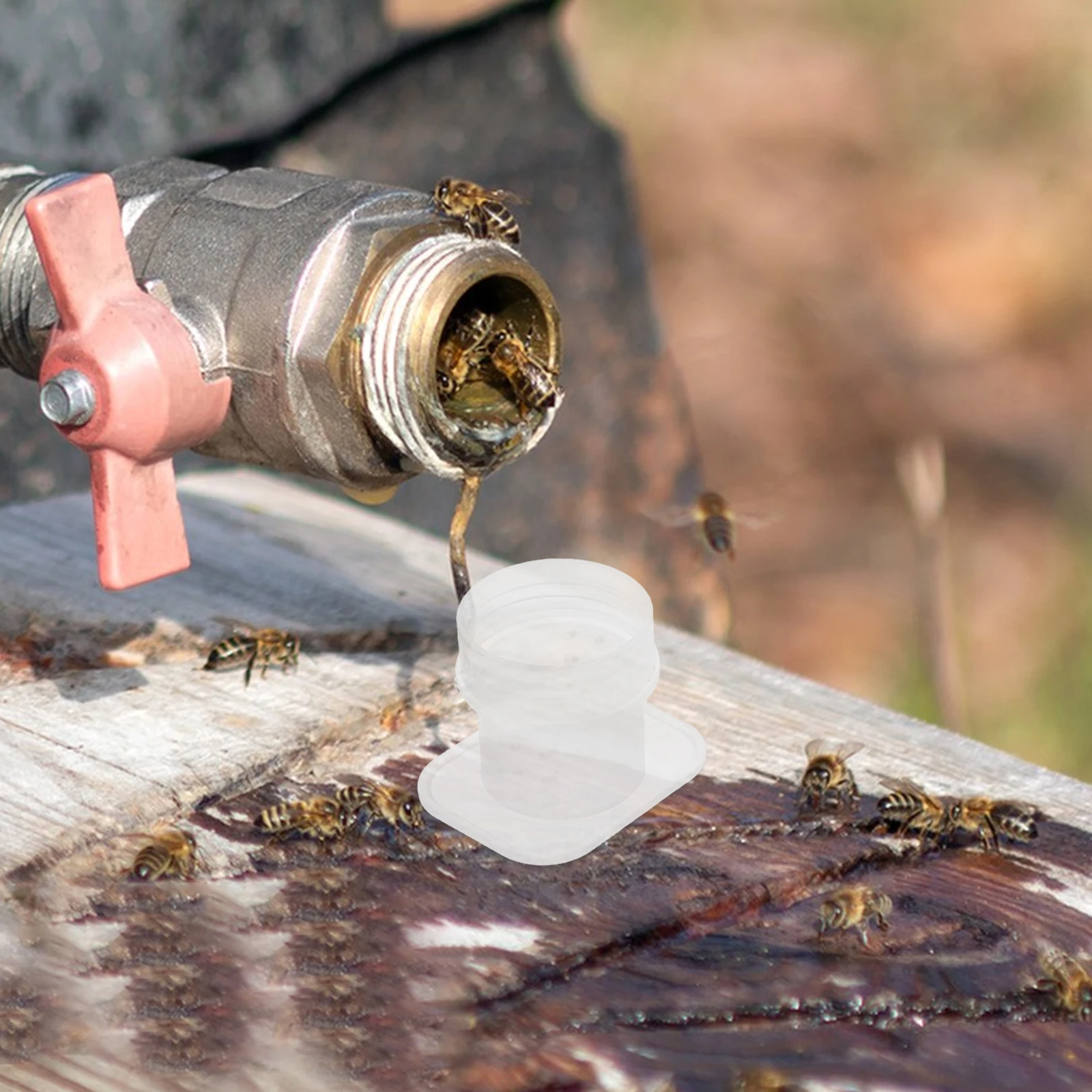 

20Pcs Apiculture Equipment Beehive Feeder Cups 3Cm Mesh Opening Bee Drinking Tool Set Efficient Hive Management Hydration