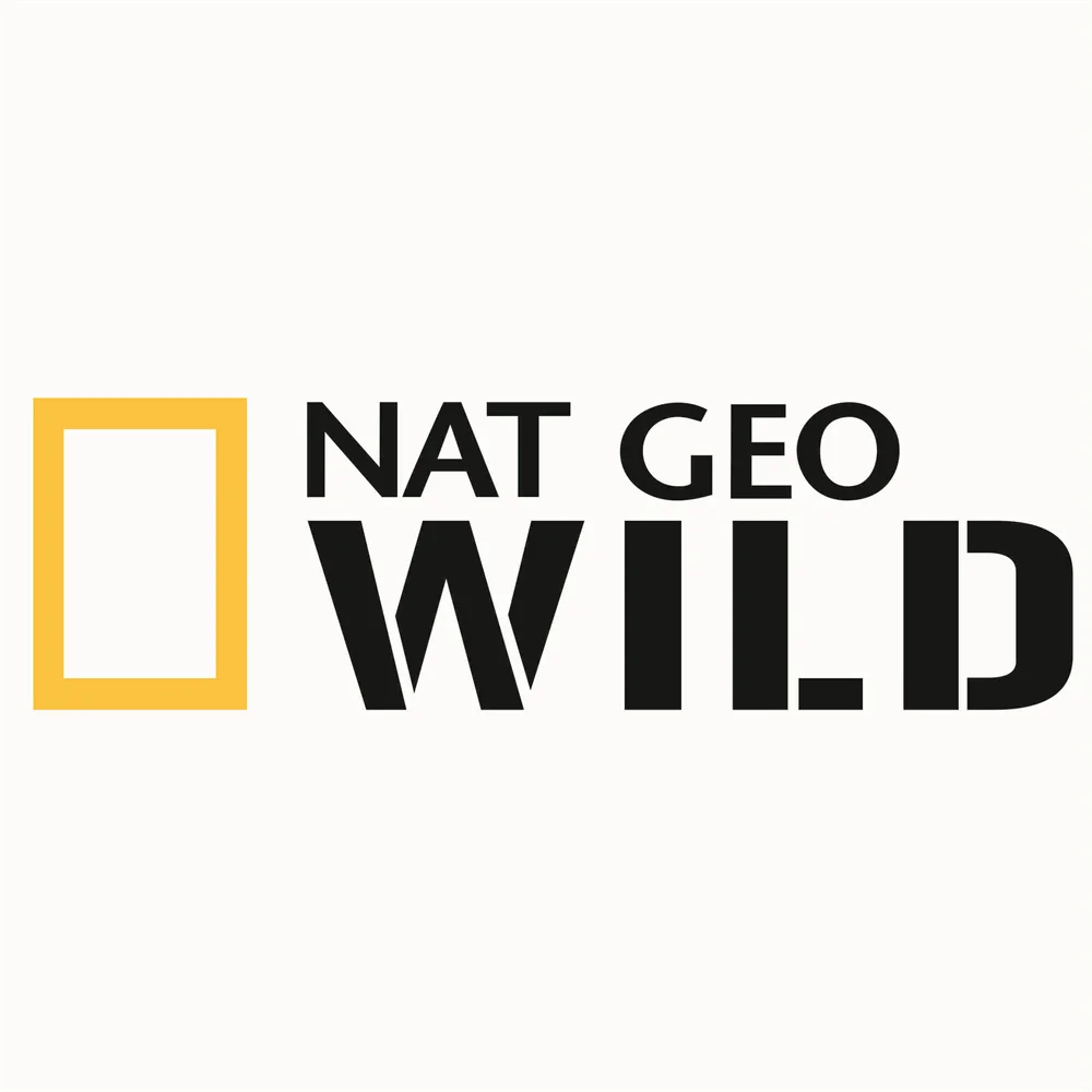 New NAT GEO WILD National Geography Car Stickers Rear Window Windshield Skateboard Motorcycle Decals