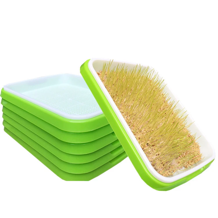 Bandejas de semeadura de berçário de cultivo de plantas para hidroponia