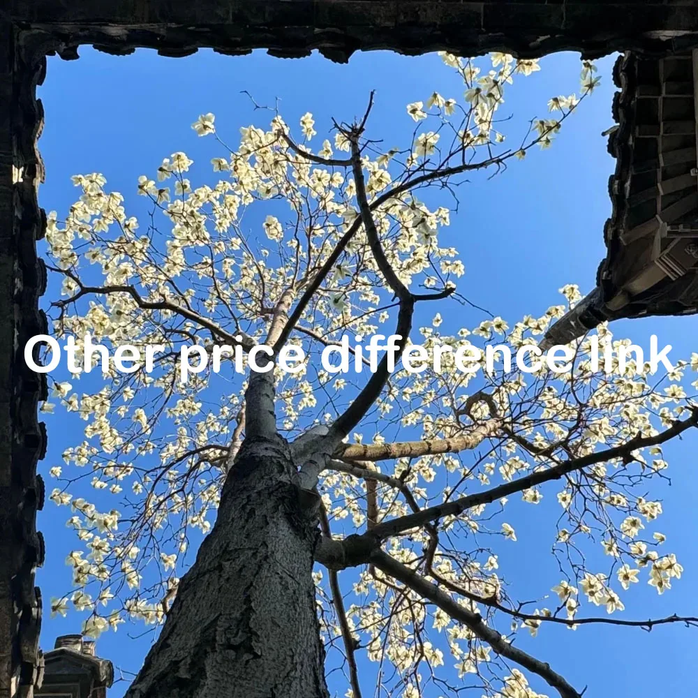 ลิงก์ส่วนต่างราคาอื่นๆ