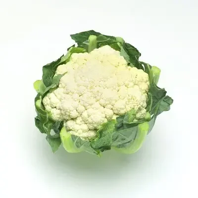 

Car Roof Dragon Horn 3D Stickers Easy to Install Strong Adhesion Not Falling in Rain For Audi A1 A2 A4 A6 Q5 Q7 Q8 Accessories