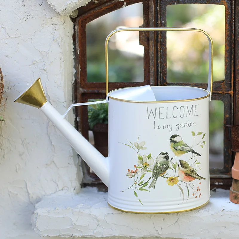 

Iron watering pot long mouth puffy pot household high-value succulent sprinkler watering pot gardening tool large capacity