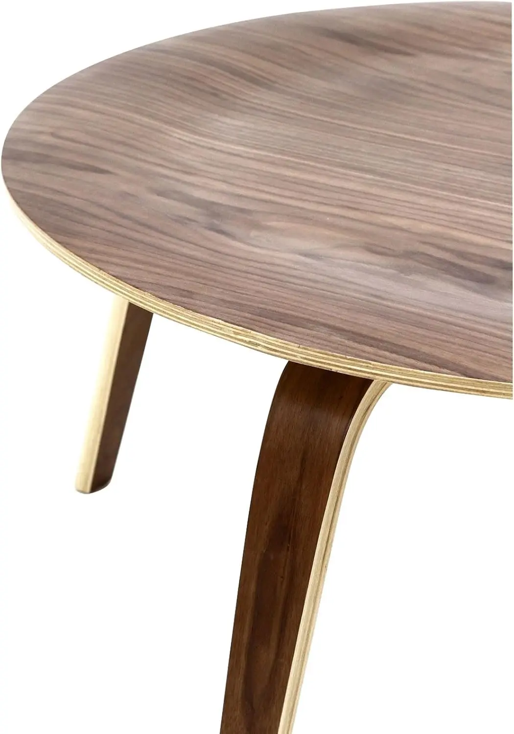 Modway Plywood Coffee Table in Walnut