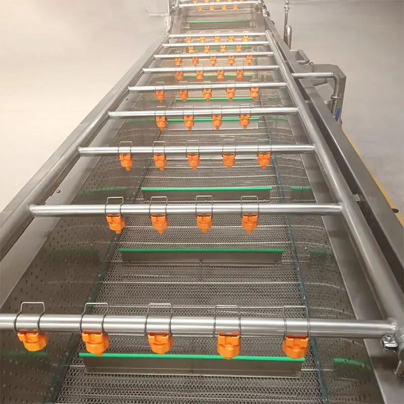 High Quality Vegetable and Fruit Cleaning Processing Machines Washer Potato Tomato Carrot Ginger Fruit Bubble Washing Machine