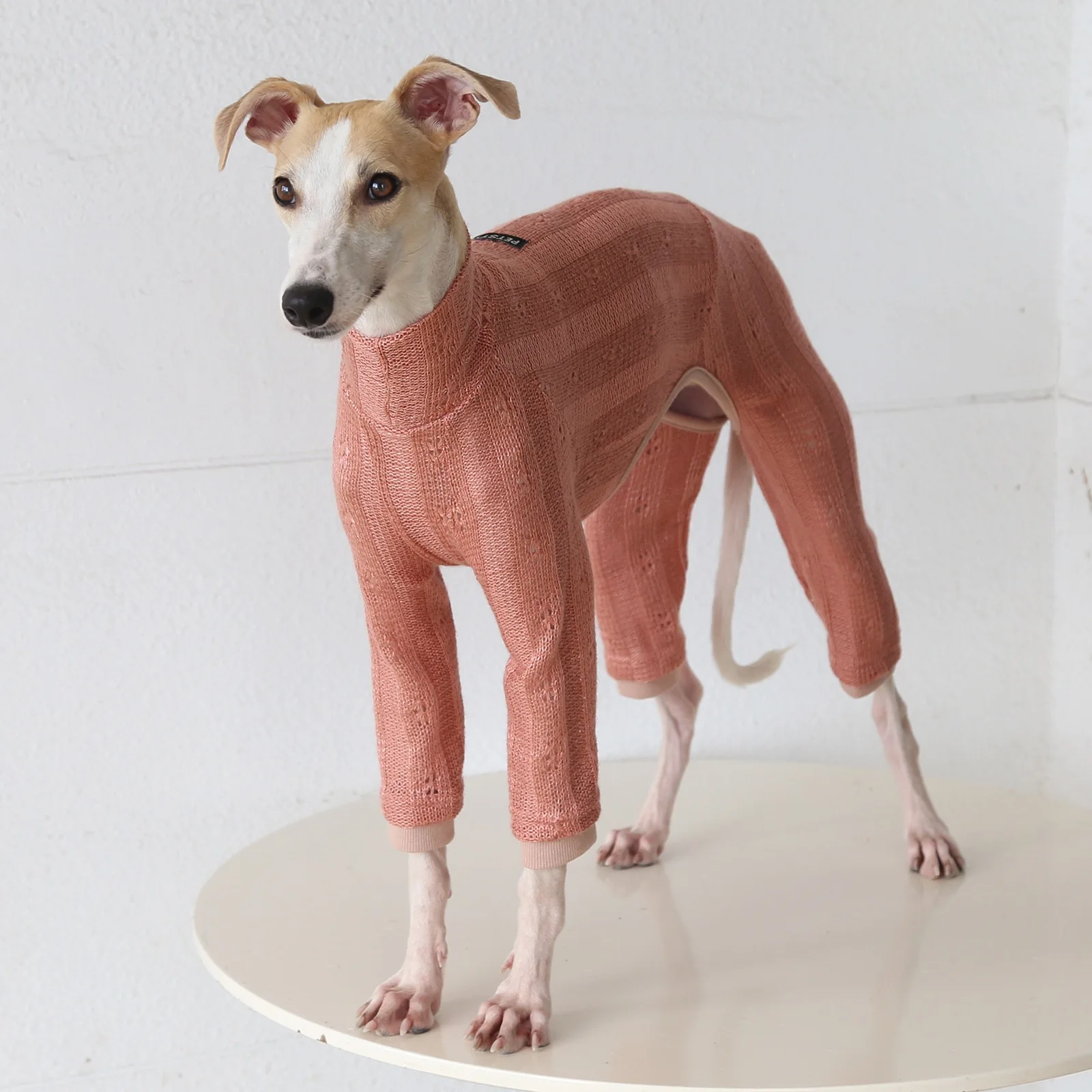 Hondenkleding Zachte gebreide trui met hoge hals en vier poten voor kleine windhonden, lente-herfst-sweatshirt voor kleine tot middelgrote whippet honden